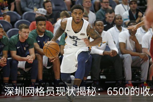 深圳网格员现状揭秘：6500的收入，背后的故事是什么？